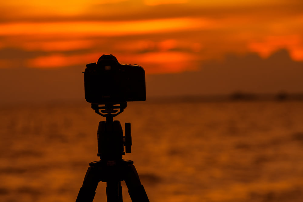 Why It Is Best To Shoot In RAW