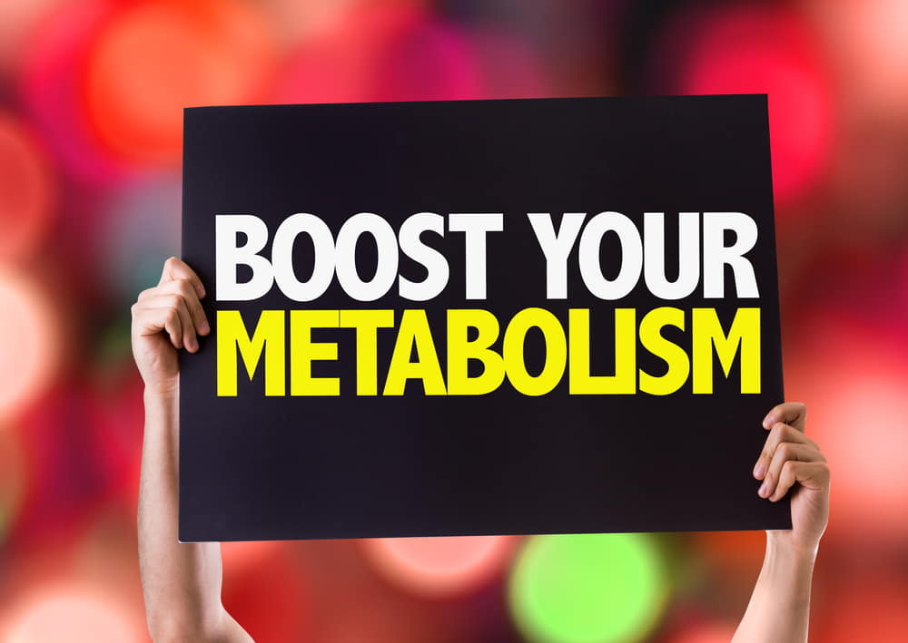 Metabolism Myths Busted Wide Open