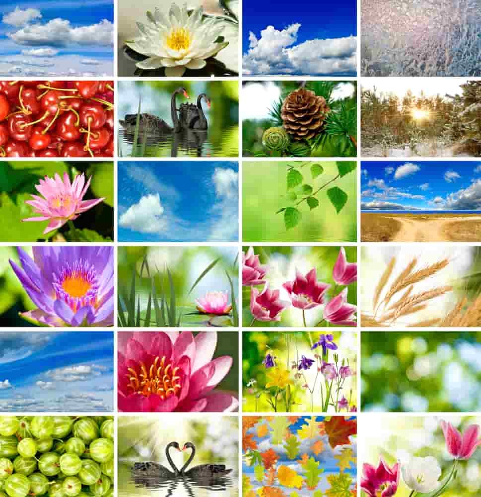 How To Take the Most Breathtaking Nature Photos Ever