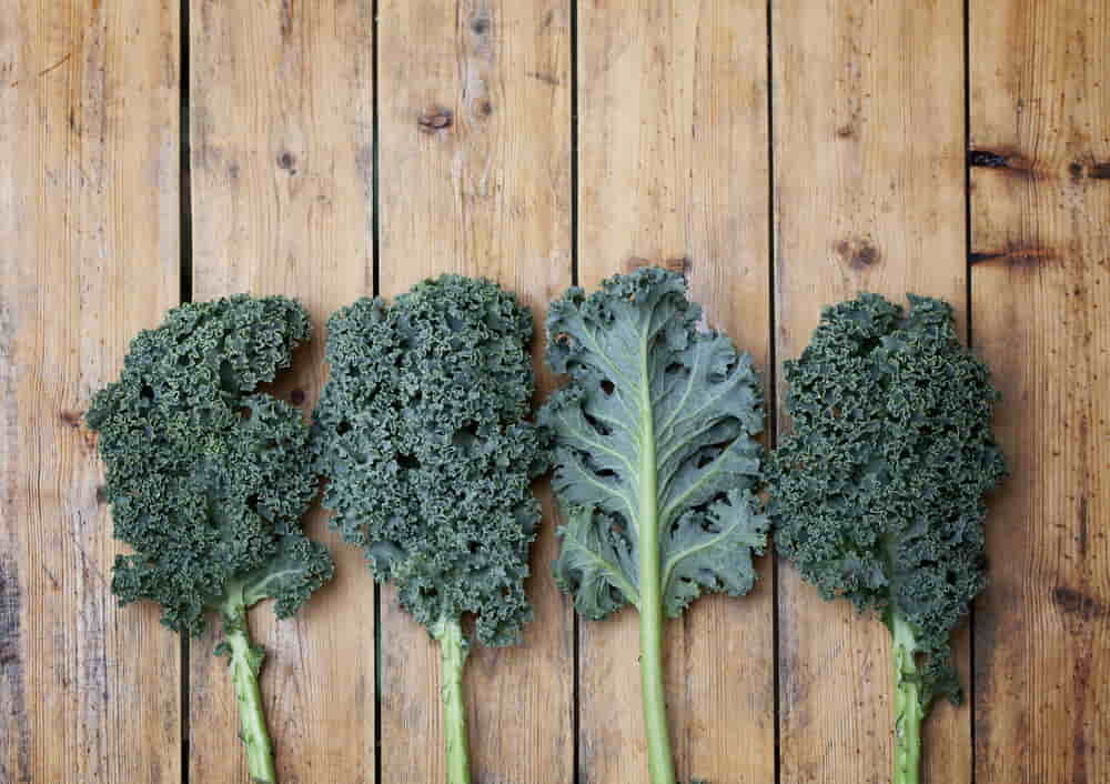 The Best Leafy Greens: Nutritional Face-Off
