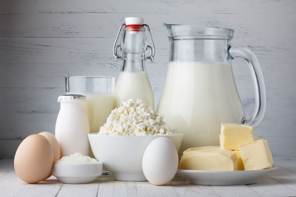 6 Reasons To Include Dairy In Your Diet