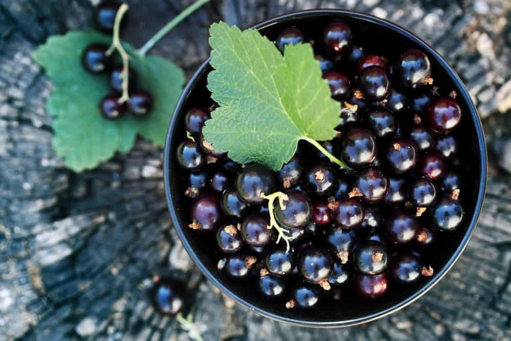 Brain Food: Eat Your Way To A Healthier Mind