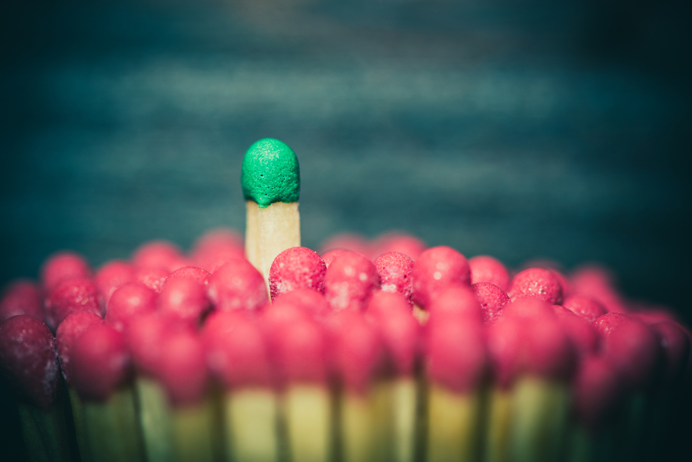 Macro Photography Tips: 10 Ways To Get Big Shots Of Little Things