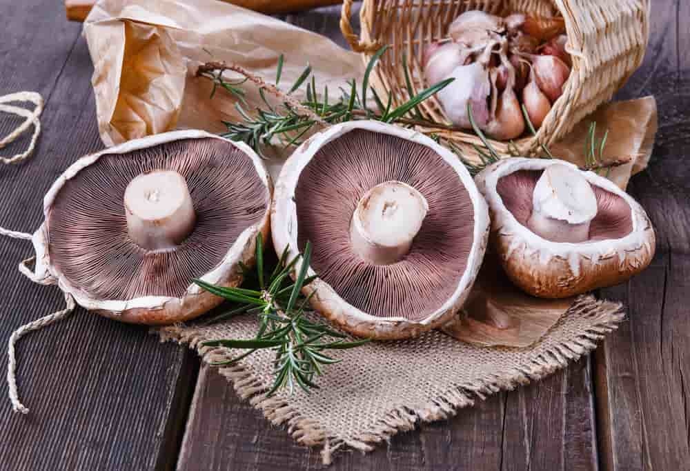 5 Alternatives To Using Wheat Bread