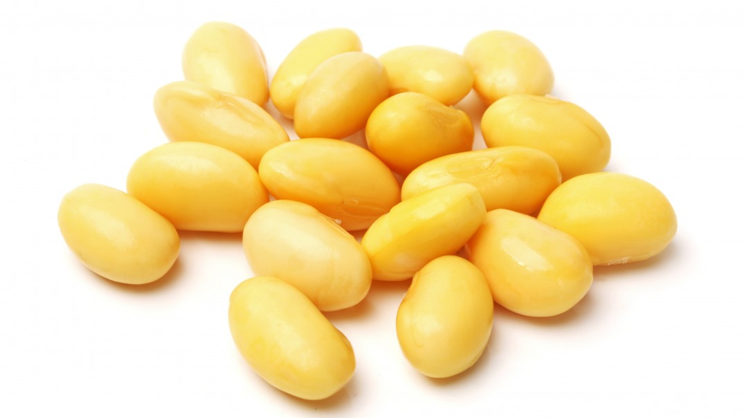 Soy Protein Facts You Need To Know Shaw Academy