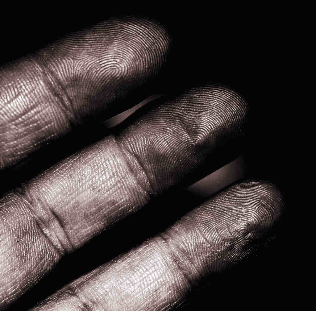 The swirls and whooshes in these fingerprints