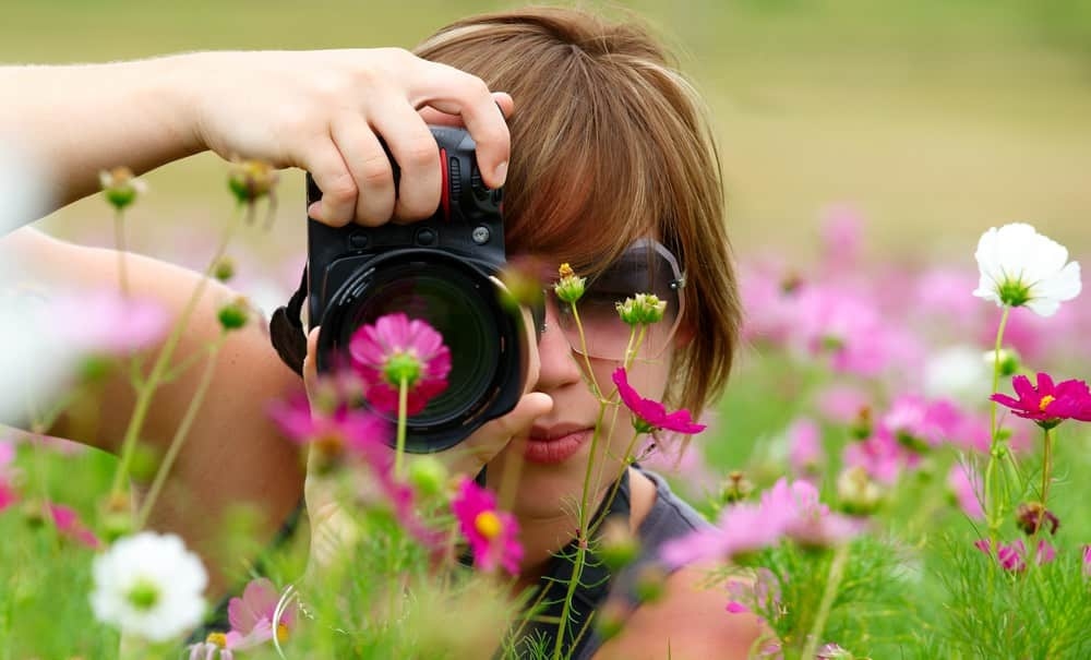 keep it simple - flower photography