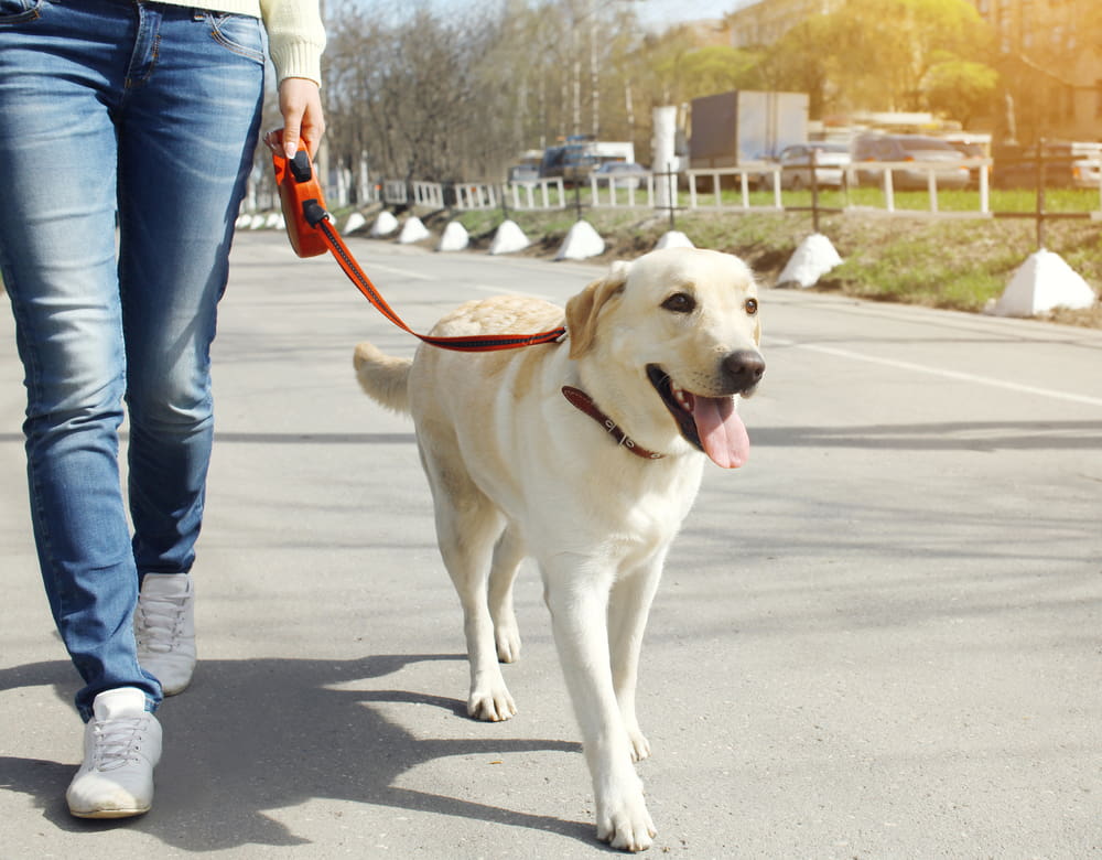 7 Ways to Make Your Physical Activity Enjoyable
