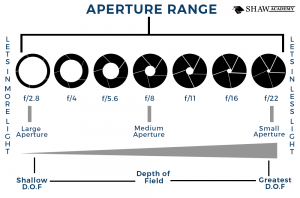Lens Buying Guide 4 Tips To Choose Your Lens Lens Buying Guide 4 Tips To Choose Your Lens