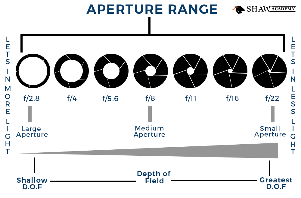 Lens Buying Guide 4 Tips to Choose Your Lens Shaw Academy