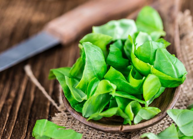 What You Didn’t Know About Basil, The King Herb