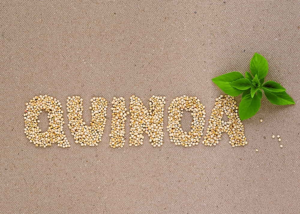 The Pseudo Cereal Quinoa and Its Health Benefits