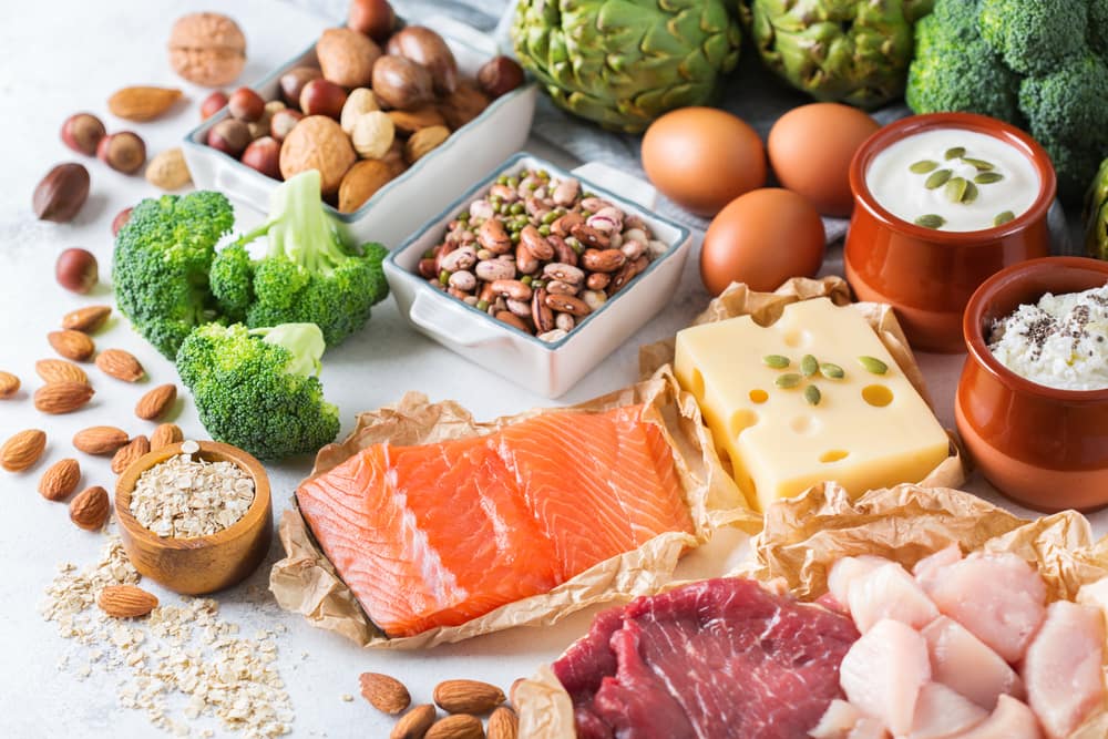 Plant Protein V Animal Protein: Which is best?