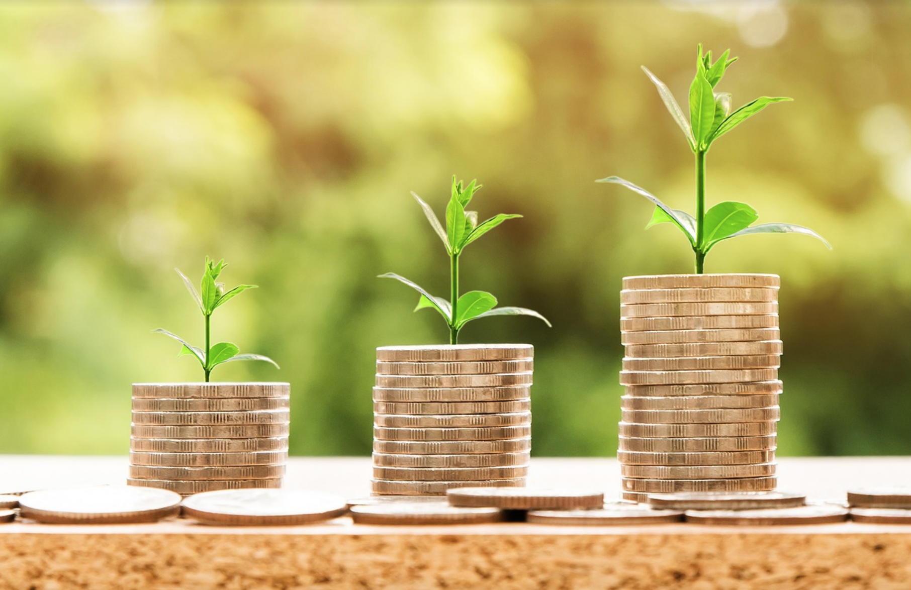 What Is Portfolio Investment? An In-Depth Guide